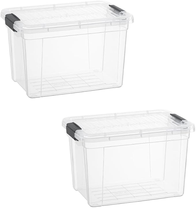 Superio Storage Bins with Lids- 2 Pack, 2.5 Qt Clear Boxes