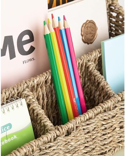 DINGTAI Mail Organizer Countertops, Desk Organizer Bills Organizer, Mail Sorters Organizers, Pencil Holder Mag — view 6