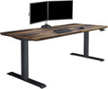 Vari Classic Electric Standing Desk