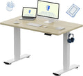 FLEXISPOT EN1 One-Piece Standing Desk