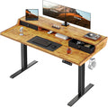 ErGear Electric Standing Desk