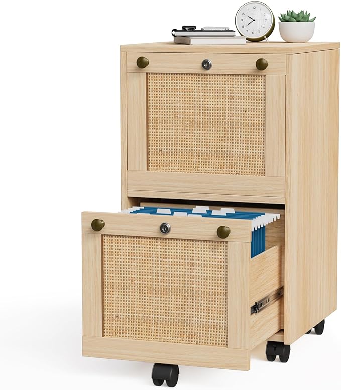 VINGLI 2 Drawer File Cabinet